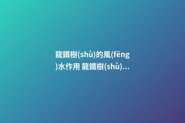 龍鐵樹(shù)的風(fēng)水作用 龍鐵樹(shù)的風(fēng)水禁忌